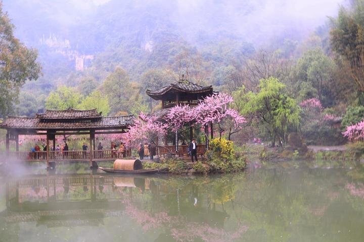 脑洞小老弟无实名认证