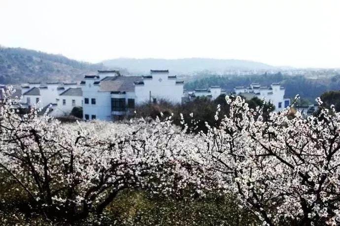 机智问答网页-智慧解答疑问-怎么判断宝宝吃这款奶粉适不适合呢?新手家长需要观察哪些方面?专家在线答疑